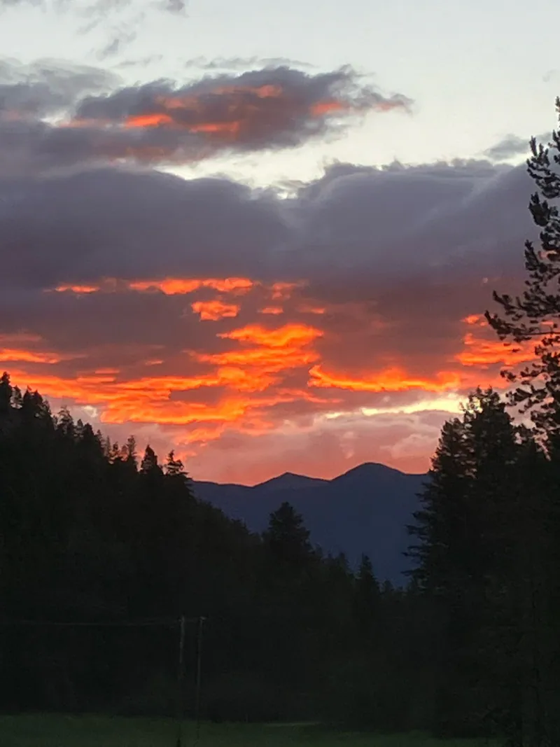 Views from a log home, by Built Right in Montana
